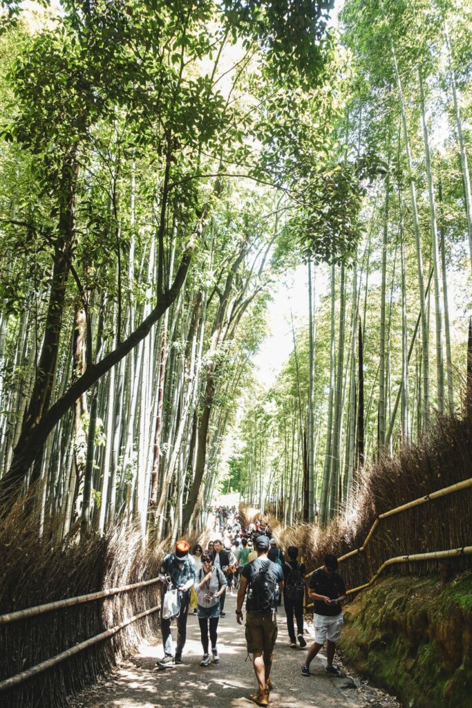 Foret Arashiyama pres de kyoto