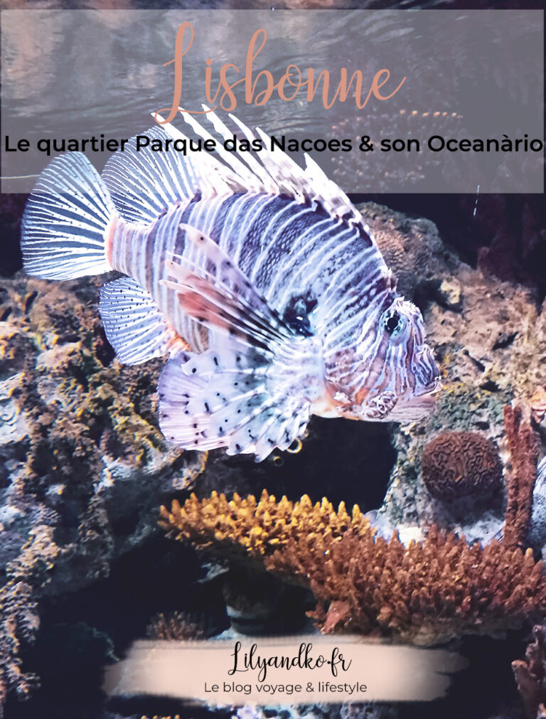 Pinterest-bannière-lisbonne-parque-das-nacoes-et-oceanario