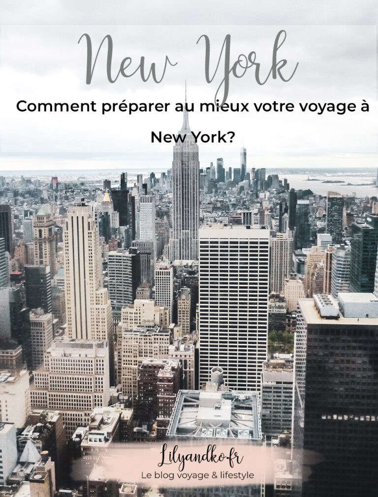Pinterest-preparer-son-voyage-a-new-york-