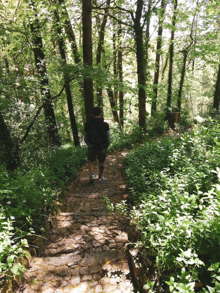 journée sintra parque de pena