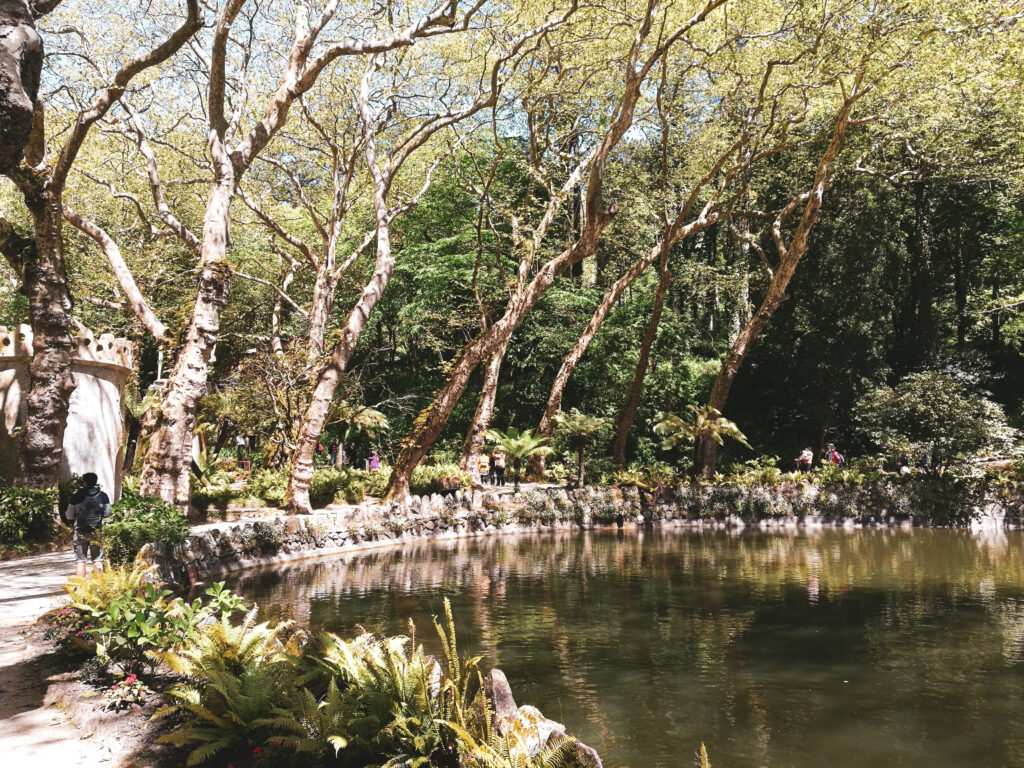 que faire sintra parque de pena