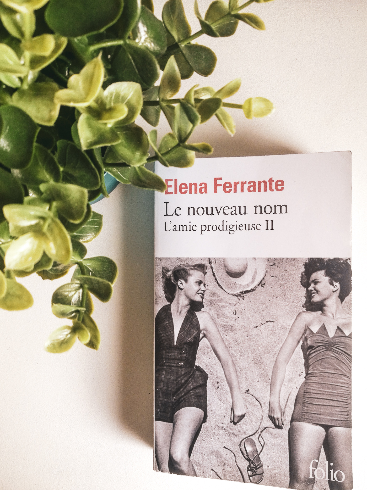 livre-lamie-prodigieuse elena ferrante tome 2